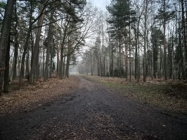 Droga wg pobliskiego znaku - Kąpielisko Paprocany 2000m