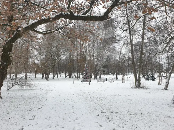 Świąteczna choinka, widok w stronę Stadionu Miejskiego