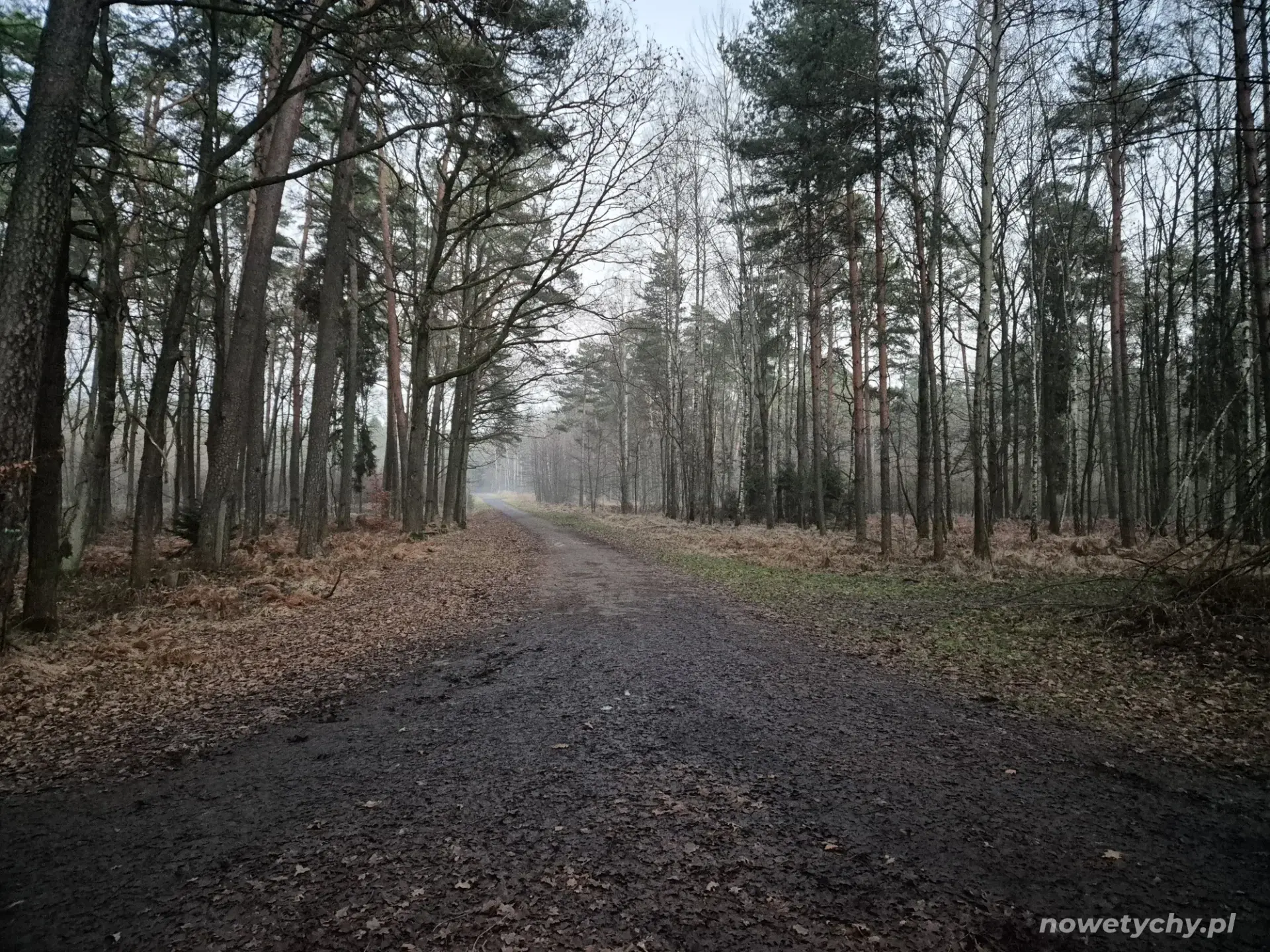 Droga wg pobliskiego znaku - Kąpielisko Paprocany 2000m