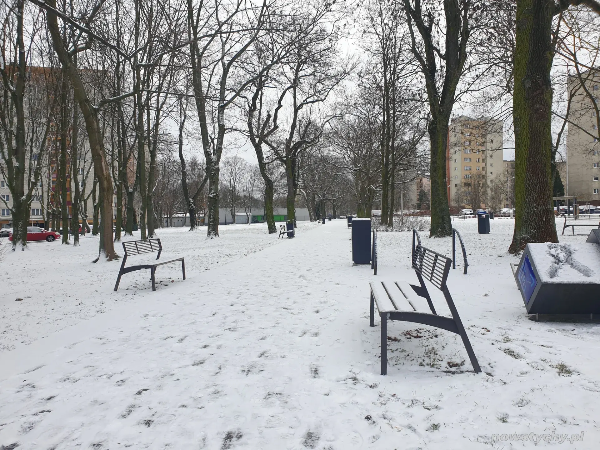 Widoczna alejka to Trakt Paprocański