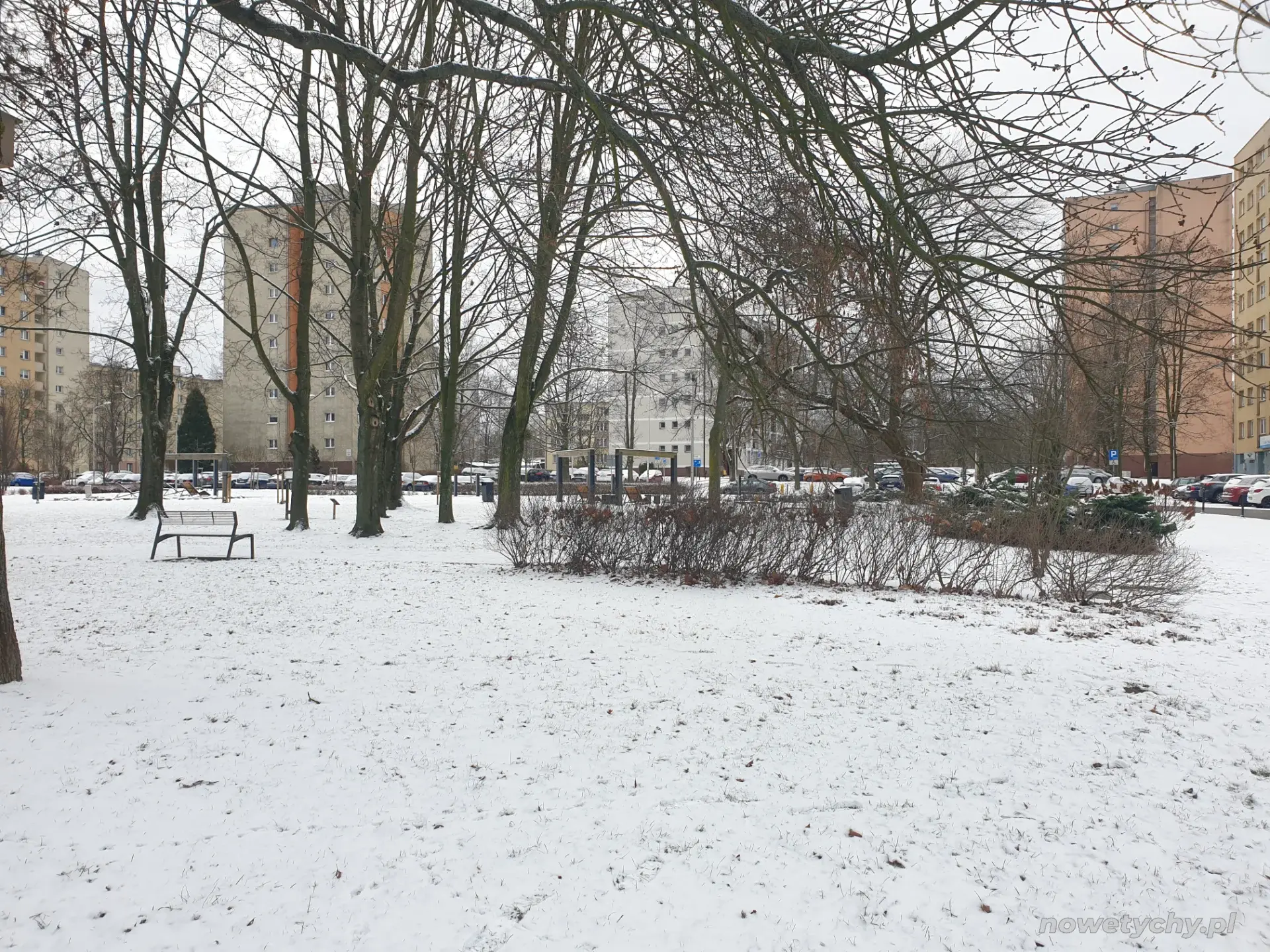 Fragment parku zimą
